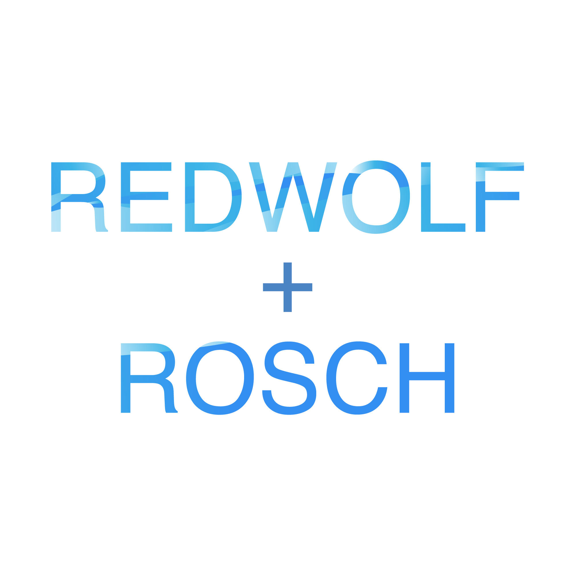 Bart Wolkowski, Director, Redwolf + Rosch | Digital, IT, Sales & Marketing Recruitment Specialists